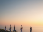 The Growth Mindset Revolution: 9 Daily Practices to Transform Your Wellness Journey Growth